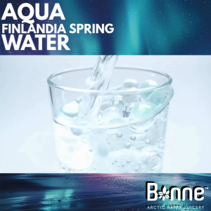 Bonne Finland Premium Natural Spring Water 500ml x6 | pH8.2 Alkaline High Mineral | UNESCO Rated No.1 Halal