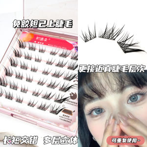 Early Season Glue-Free Daji Fake Eyelashes Chinese Fox Split Female Natural Simulation Eyelash Single Cluster Thick