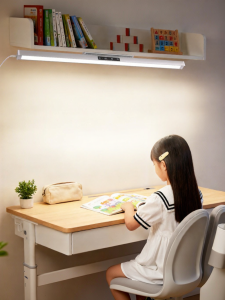 HUIPU ZHAOMING | AA Grade Rotatable Eye-Protecting Desk Lamp