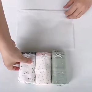 [HCM] Túi zip khoá lụa mờ đựng quần áo phụ kiện dẻo dai bền tiện dụng -Randy