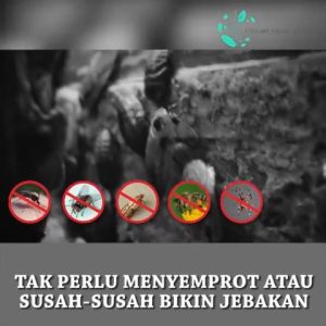 Efek pengusiran tikus meningkat 200% Penolak serangga ultrasonik efektif 1300㎡ pengusir tikus ultrasonik Alat Pengusir Nyamuk Serangga Lalat Kecoa Tikus Pest Control Pembasmi Lampu Led Anti Nyamuk Lampu Tidur Anti Nyamuk
