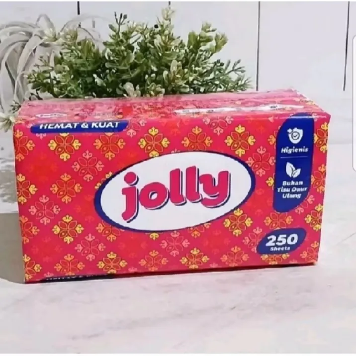 Promo%20jolly%20250%20sheet%202%20fly%20-%20Image%202