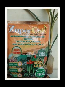 ZuperCals Pupuk Kalsium Boron: Solusi Ampuh untuk Buah Pecah & Meningkatkan Produktivitas Tanaman