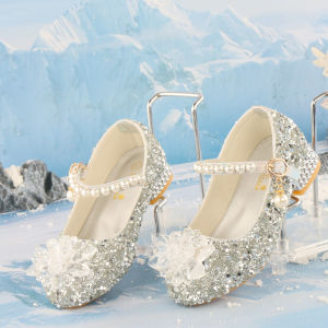 Silver Glitter Princess Pumps for Shows with Dress