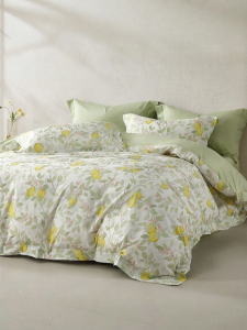 Mercury | Pure Cotton Printed Bed Set 4 Pieces