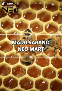 Madu Sarang Asli Murni (ORIGINAL) Epis Melifera Netto 250 Gram