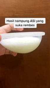 BABY SAFE WEARABLE BREASTMILK COLLECTOR SIMPAN ASI DI PAYUDARA BPC01