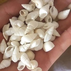 Natural White 100pcs Small Conch Shells - Corn Rice Spiral Snails for Home & Aquarium Decor - Fish Tank Bottom Decoration Craft