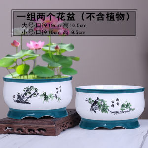 Large Size Ceramic Hydroponic Flower Pot Balcony Indoor Tulip Nymphaea Bowl Lotus Copper Money Grass Special Container Desktop No Hole