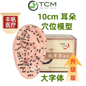 Fengfan®️10cm Ear Model - Upgraded Version with Clear Large Font 耳朵模型