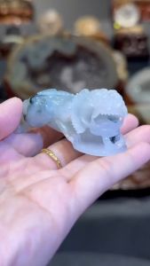 🔮天然缅甸翡翠玉摆件 ➡️招财貔貅 冰种白玉墨绿  高: 2.5cm  宽: 3x6cm  重: 63g