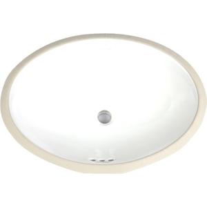 Kohler | Embedded Home Oval Basin