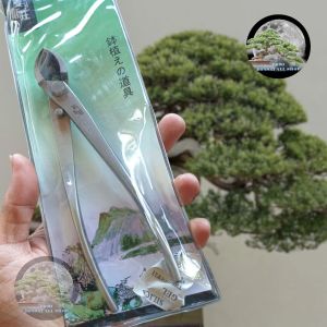 paket catok bonsai stainless mstwa