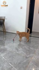 Lumipet Mainan Bola Tali Kucing & Anjing/Smart Rotating Ball For Pet/Cat Rolling Ball Mainan Listrik Cerdas/Mainan Peliharaan Interaksi Cerdas