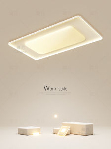 Minimalist Contemporary LED Ceiling Light