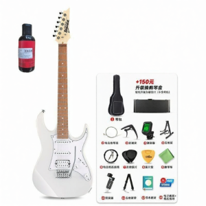 Ibanez | Beginner Double-locking Electric Guitar
