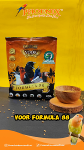 Phoenix Formula 88 Baru Pakan MURAI KACER ANIS MERAH CENDET CUCAK HIJAU BEO BERKUALITAS GACOR JUARA