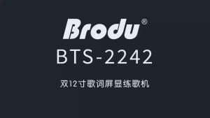 BTS 2242 5400mAh dual 12Inch  Bluetooth Karaoke Speaker with Rechargeable dual Wireless Mic 240W