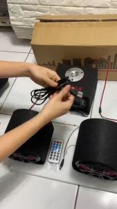 Bosca 2.1 Bluetooth HI-FI Bass Power Amplifier Speaker with Remote Control with 2 Microphone Inputs
