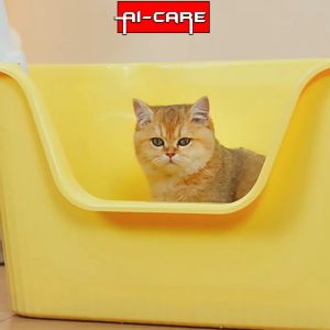 Cat Litter Box with High Wall Open Top Litter Box Anti Splashing Cat Litter Container Tempat Litter Kucing