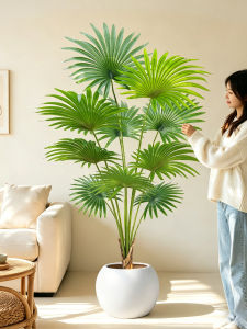 LIANYOU | High-End Luxury Faux Areca Palm Plant Indoor Decor