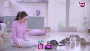 Whiskas Pouch Wet Food Junior 80gr Makanan Basah Kucing