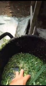 2 PISAU CACAH RUMPUT TERNAK 25cm+as10mm