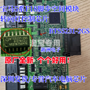 Bts5231-2Gs Vehicle Lighting Chip Module for Chevrolet Bmw5 Series F18 Footspace Car Lamp Chip