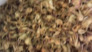 500g Bông Atiso Xanh khô nguyên chất loại 1 giảm cholesterol tốt cho hệ tiêu hóa