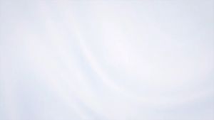 Kojima Pet Disposable Gloves Cat Dry Cleaning Wipes Dog Deodorizing SPA Bath Cleaning Supplies