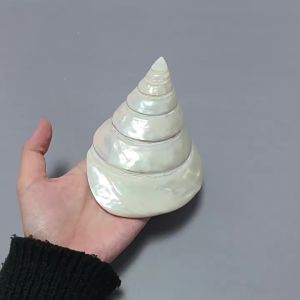 Night Glow Conch Shell Decoration Aquarium Decor  Home Display  Collectible Toy