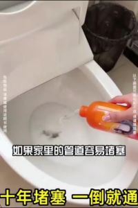 【💥Hot in Japan 💥】Refresh Toilet Sink Drain Dredge Cleaner Kitchen Sink Clean Toilet Cleaner Drain Clog Remover 管道疏通剂 500ML