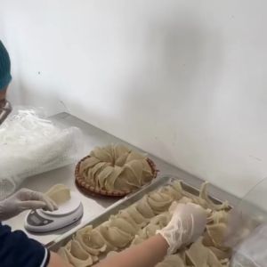 Yến Sào Rút Lông Khô Xuất Khẩu Dewis Nest 50g 100g 100% Nguyên Chất Rút lông Khô Không ngâm qua nước