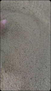 jual telur jangkrik tangerang alam sliring & madu kunyit 1 kg siap tetas kualitas super
