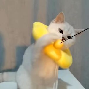 Pet Collar Bantal /Cone Corong Pelindung Anjing Kucing / Anti-Licking Collar/ Pet Recovery Collar Cat & Dog