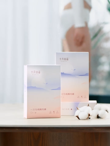 TEN-M JOURNEY disposable underwear made of pure cotton for pregnant and postpartum women no washing underwear independent packaging portable for travel