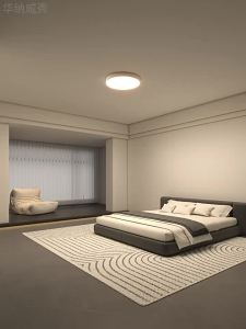 Elegant Simple LED Ceiling Light