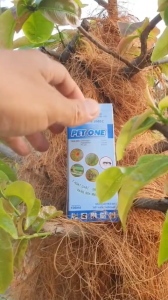 Pet One Chai 100ml - Chloxam 35sc Hiệu PET ONE - Hỗ Trợ Làm Mát Cây Phòng Trừ Côn Trùng