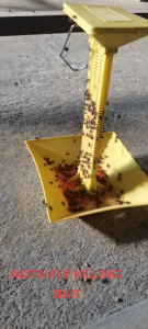 New Fly Langaw Killing Bait Powder Effective Pesticide