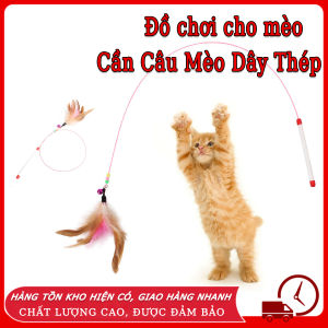 Đồ chơi cho mèo - Cần Câu Mèo Dây Thép Đồ chơi cần câu mèo gắn lông vũ Đồ chơi mèo cần câu mèo dây thép gắng lông vũ