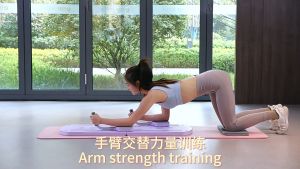 TrailTop Papan Perut Latihan Perut Aerobik 5 ln 1 Push Up AB Wheel Roller Plank Trainer Alat Sit Up