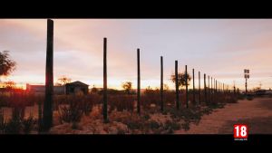 Đĩa game Tom Clancys Rainbow Six: Siege PS4 (LIKE NEW)