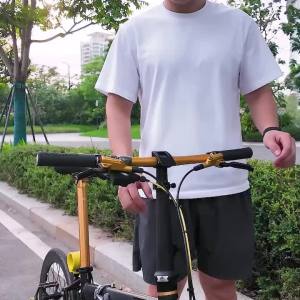 GOLDIX | IKUOS Folding Bicycle Two-piece Head Tube Telescopic Aluminum Alloy Inner Folding Head Tube For DAHON FNHON Folding Bike