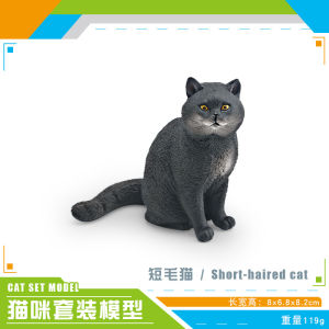 Mô Hình Thú Cưng Lông Ngắn Mô Phỏng Tượng Búp Bê Mèo Somalia Mèo Trong Cung Điện Trang Trí Nhận Thức Trẻ Em Đồ Chơi Giáo Dục