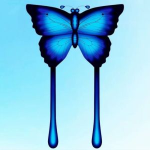 Colorful butterfly kites flying Outdoor toys sports animal kite professional kite wind kites sting line dragon kites factory