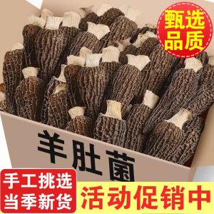 Yunnan Special Product Fresh Dried Sheep Stomach Mushroom Soup Ingredients Farmhouse Non-Wild Mushroom Dry Goods