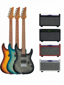 Ibanez | Beginner to Intermediate Electric Guitar