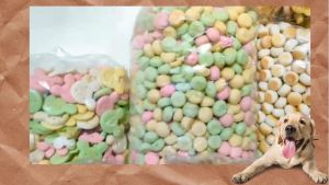 Agios Cat Biscuit/Cat Cookies 500g