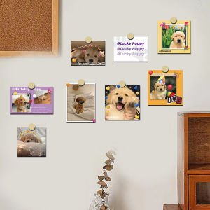 Adorable Golden Retriever Puppy Wall Decor Cards 15 Pieces Bedroom Living Room Decoration Paintings Cute Greeting Cards