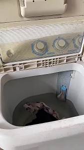 Hạt Tạo Mùi Thơm Cho Máy Giặt Siêu Lớn 750g Hương Thơm Lâu Dài Dùng Trong Giặt Là Mùi Hoa Hồng & Oải Hương